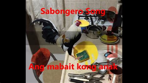 just another woman tagalog lyrics|Sabungero Song .